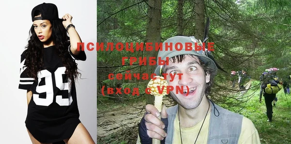 трава Алзамай