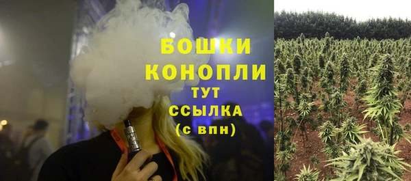 трава Алзамай