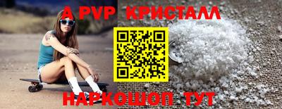 шишки Кингисепп