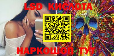 шишки Кингисепп