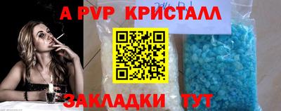 шишки Кингисепп