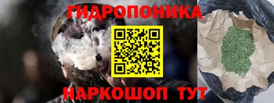 шишки Кингисепп