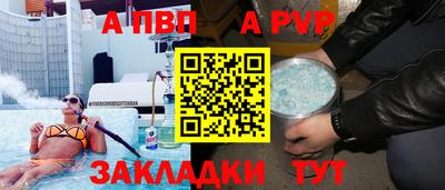 шишки Кингисепп