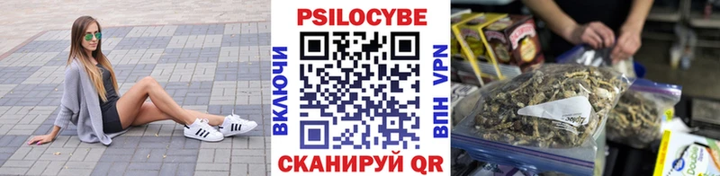 Галлюциногенные грибы MAGIC MUSHROOMS  Краснознаменск 