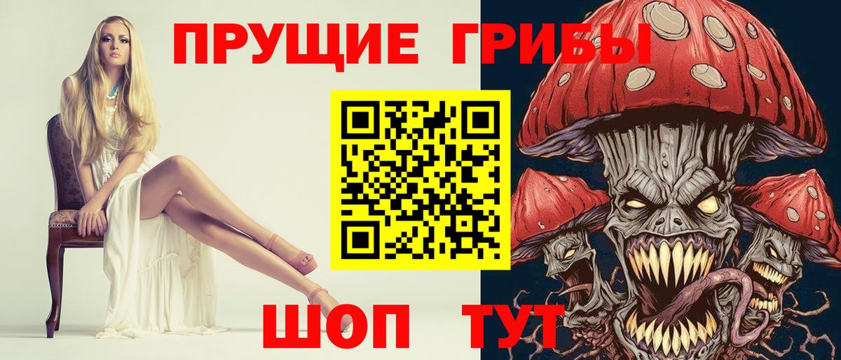 Галлюциногенные грибы Psilocybine cubensis  Вход с VPN  Краснознаменск 
