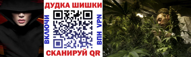 дарнет шоп  Краснознаменск  ОМГ ОМГ tor  Канабис сатива 
